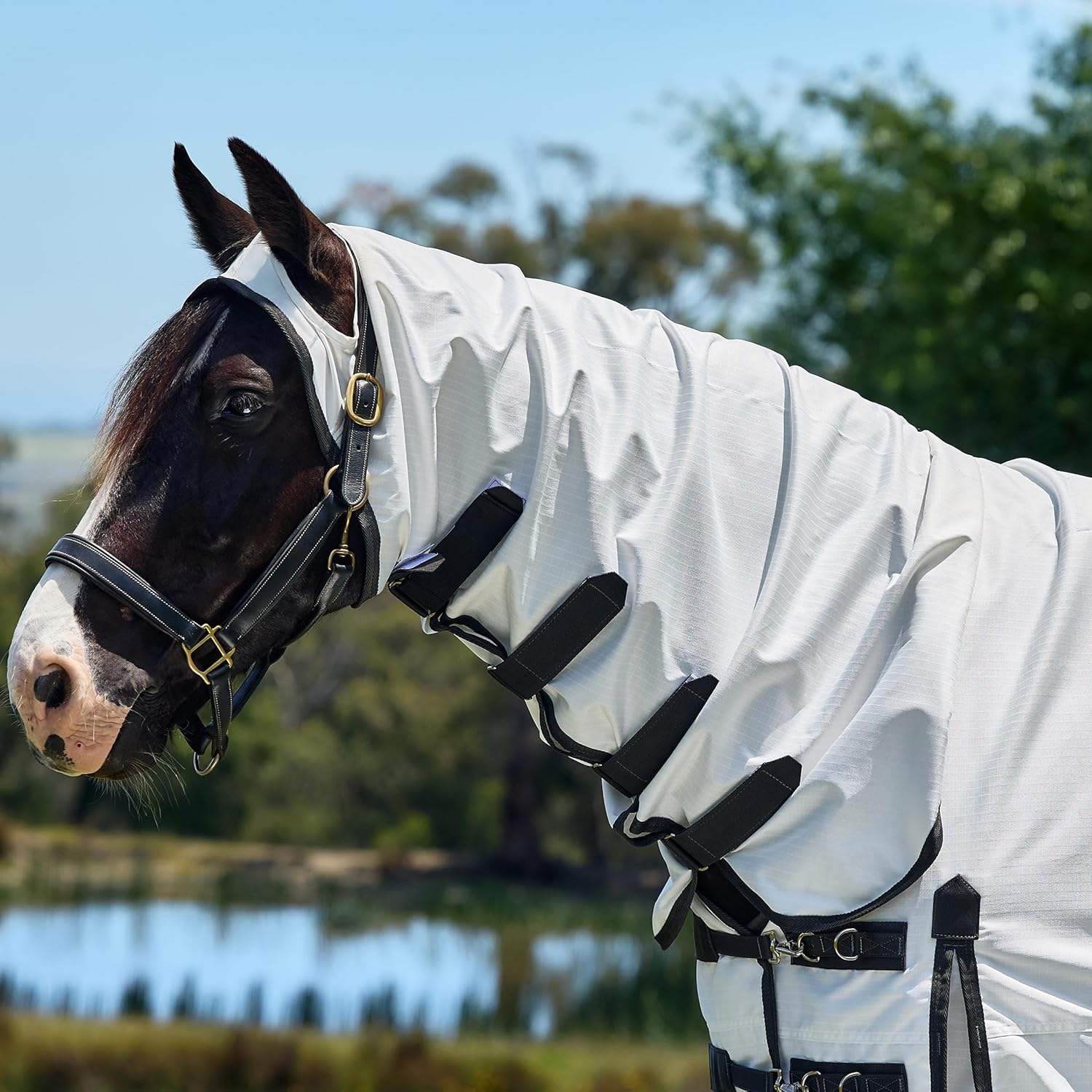 WeatherBeeta horse sheet showing 600 denier ripstop material close up