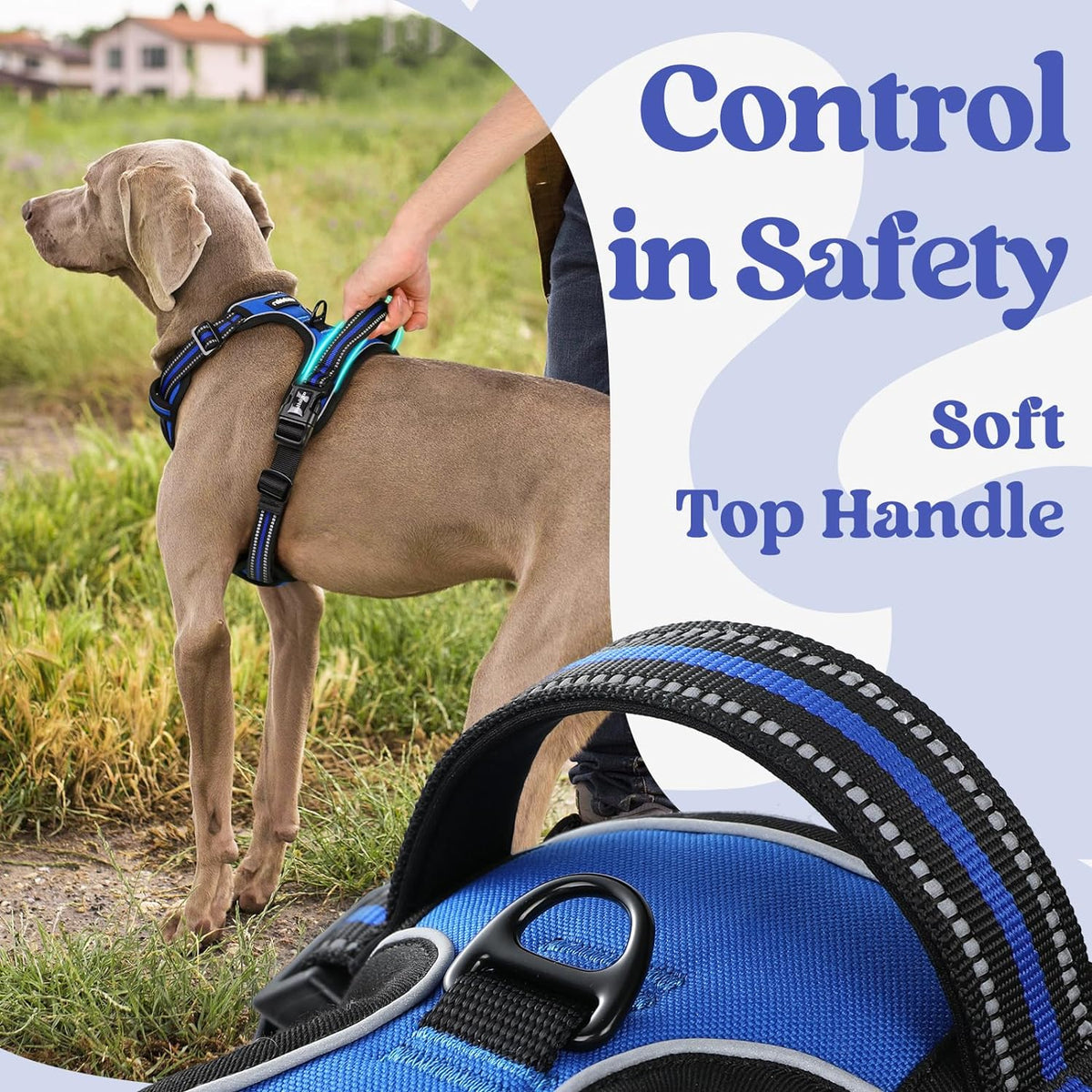 Reflective dog harness with top control handle back view