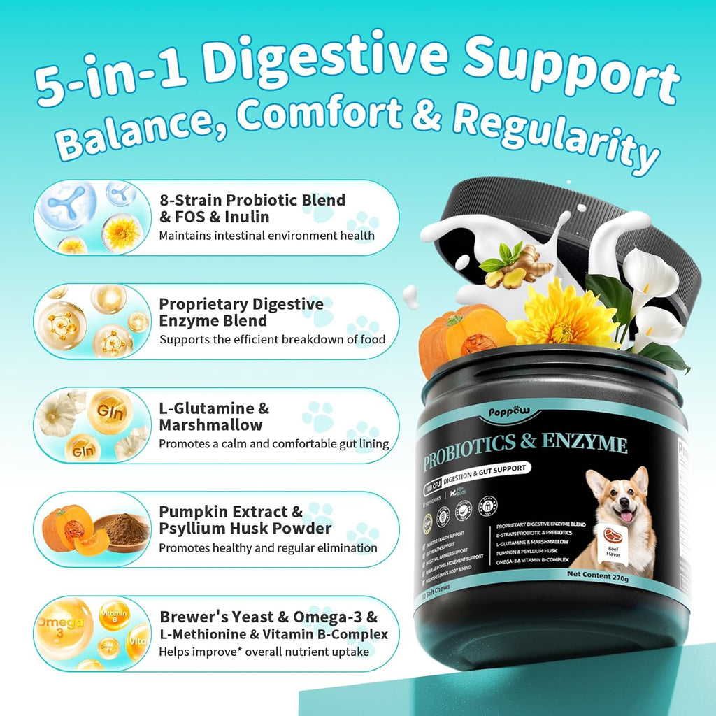 Authentic imported POPPAW digestive supplement packaging highlighting prebiotic and omega three benefits.