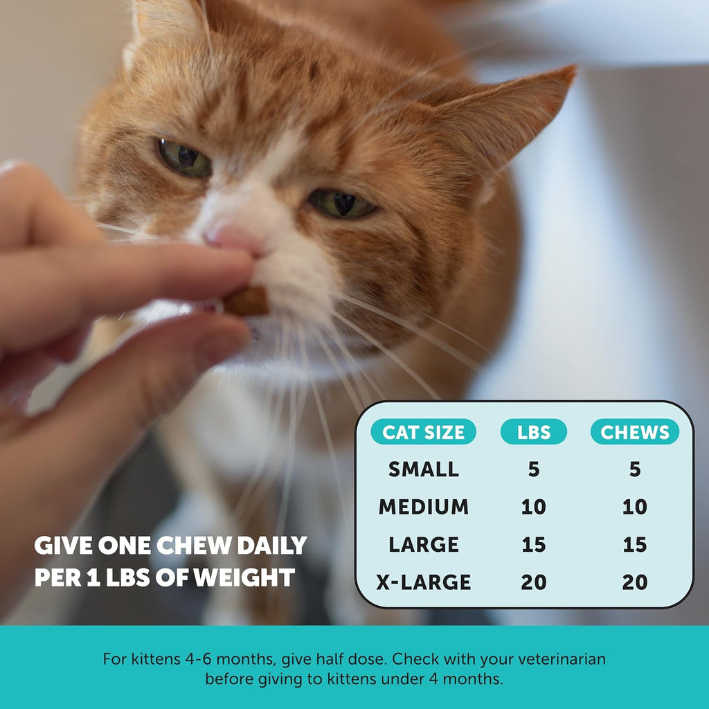 Pet Honesty cat calming treats packaging back side showing detailed usage instructions.