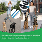 Shock absorbing bungee dog leash for two dogs