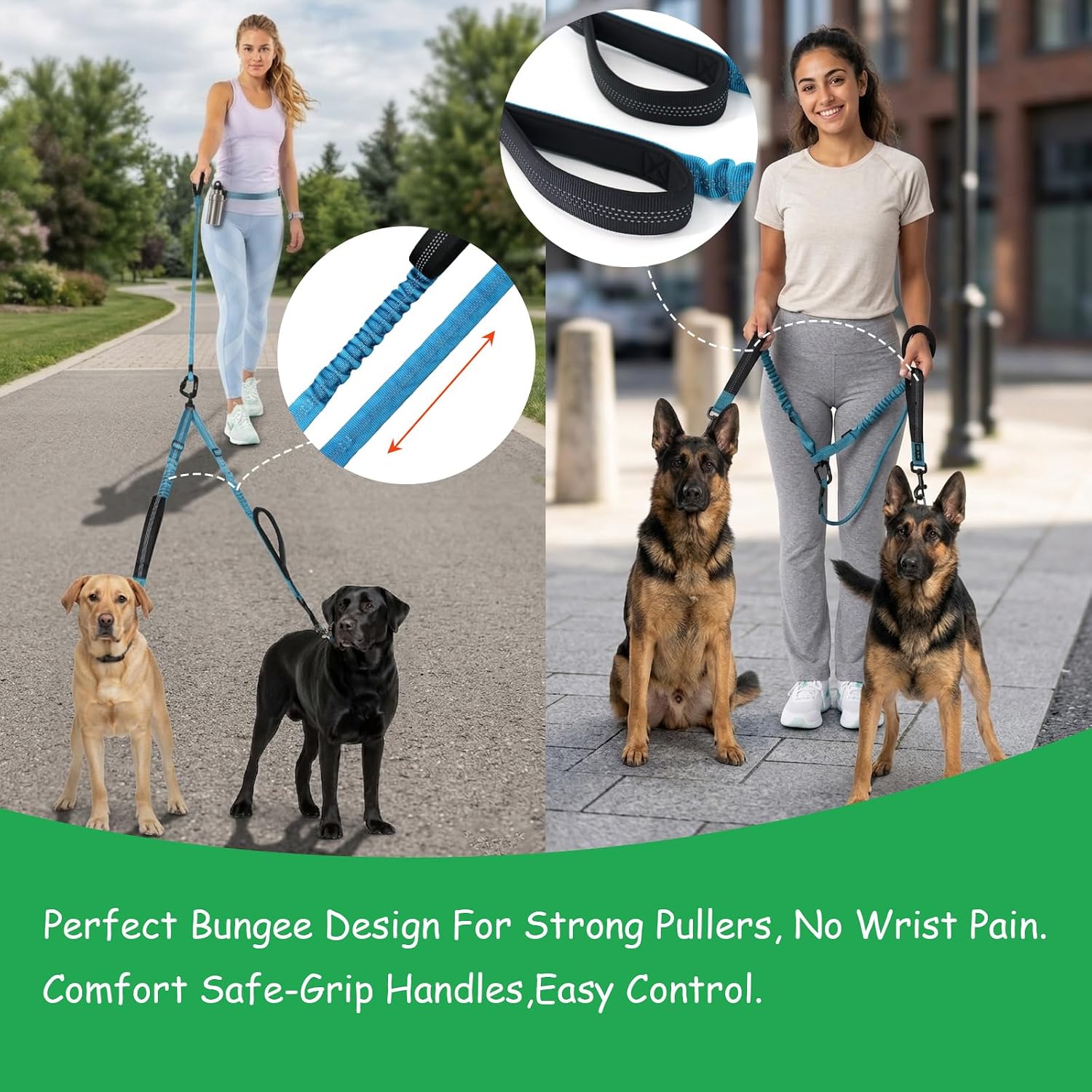 Shock absorbing bungee dog leash for two dogs