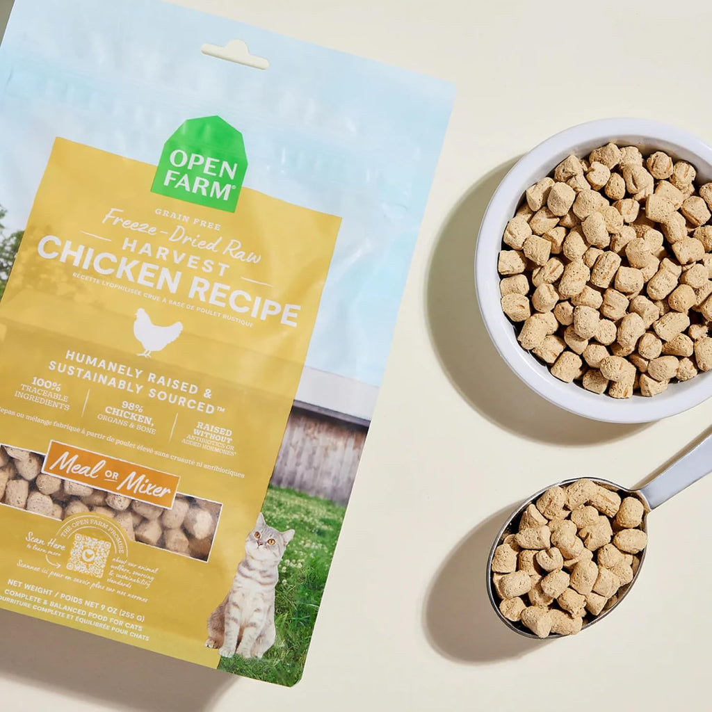 Premium freeze dried raw cat morsels close up displaying texture