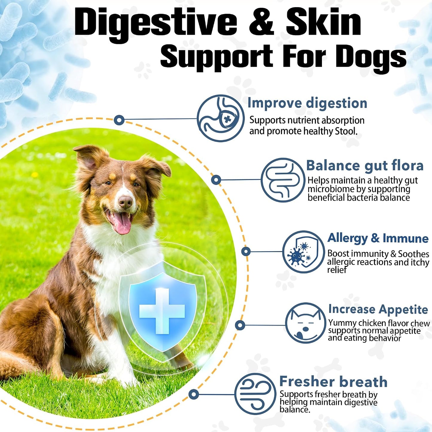 Planopaws dog digestive health supplement back label showing four billion CFU ingredients.