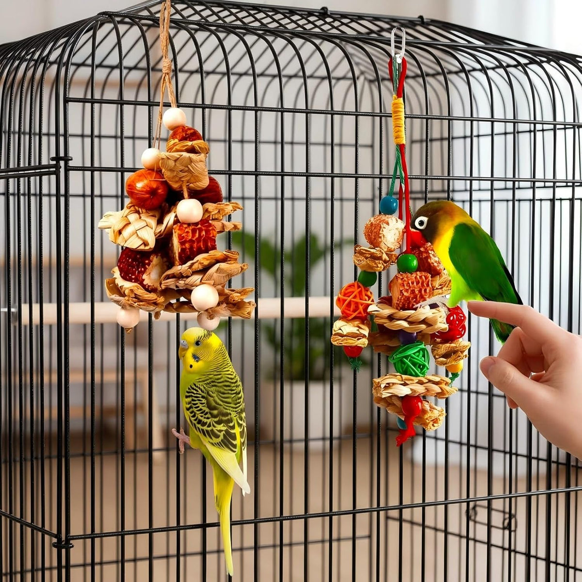 XLpeixin bird chew toys for cockatiels and conures