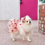 BAOBICUTE small dog clothes layered tulle lace skirt view