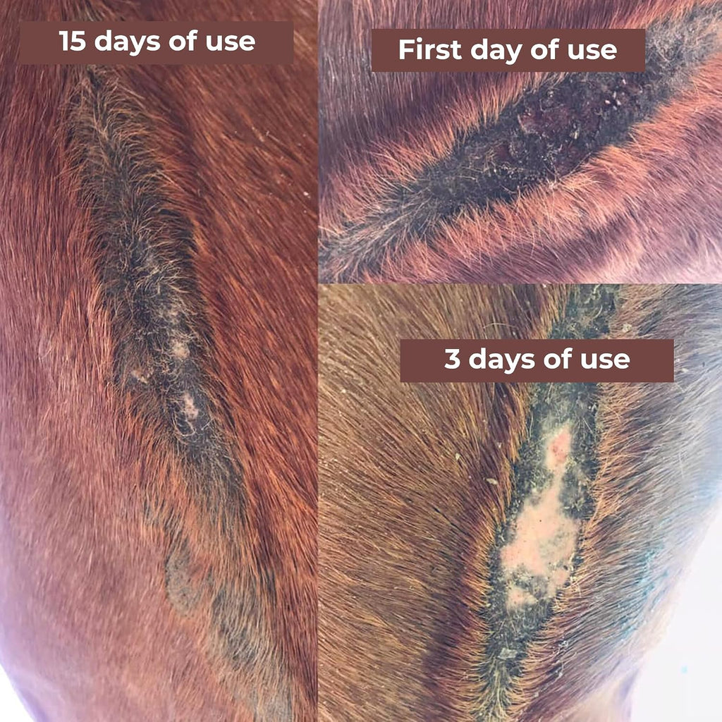 Authentic Farrier's Wife equine skin care product packaging