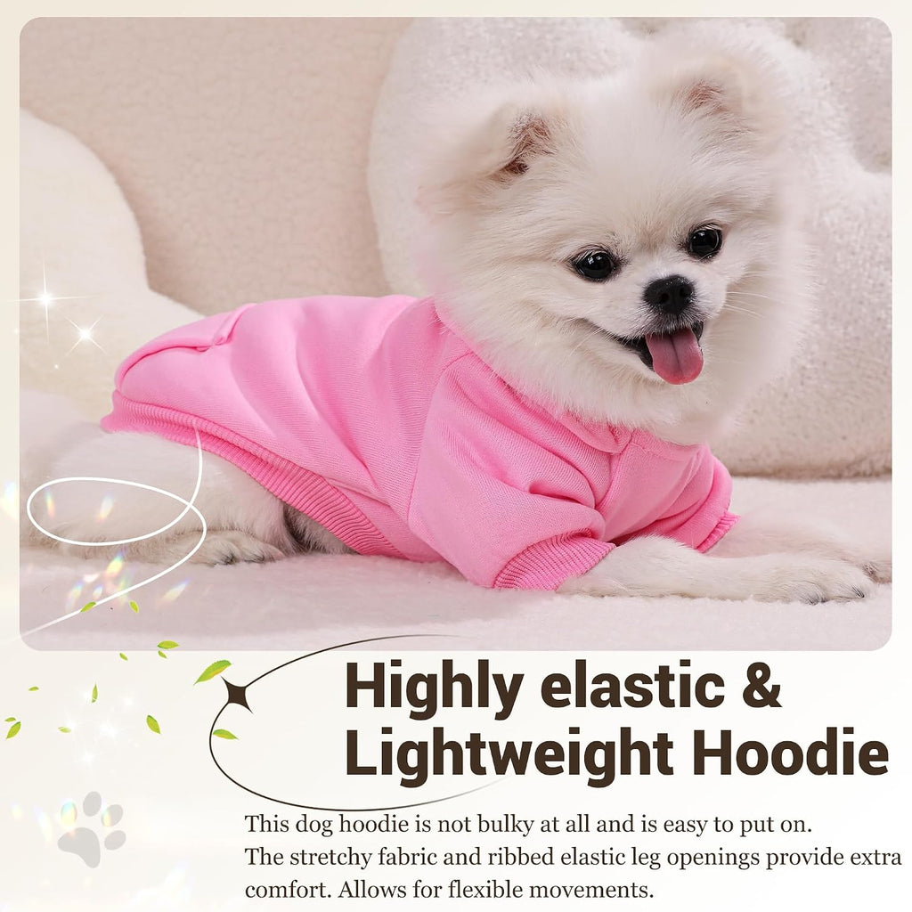 Simcapy small dog clothes modeled on a tiny chihuahua