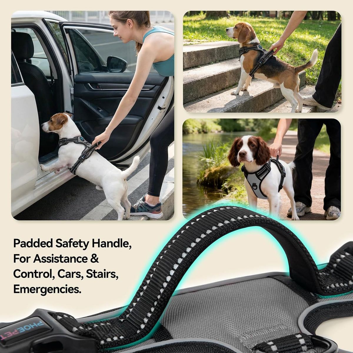 Close up of Phoepet adjustable buckles and straps