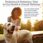 Rx Vitamins Rx Biotic pet digestive health supplement jar with scoop instruction