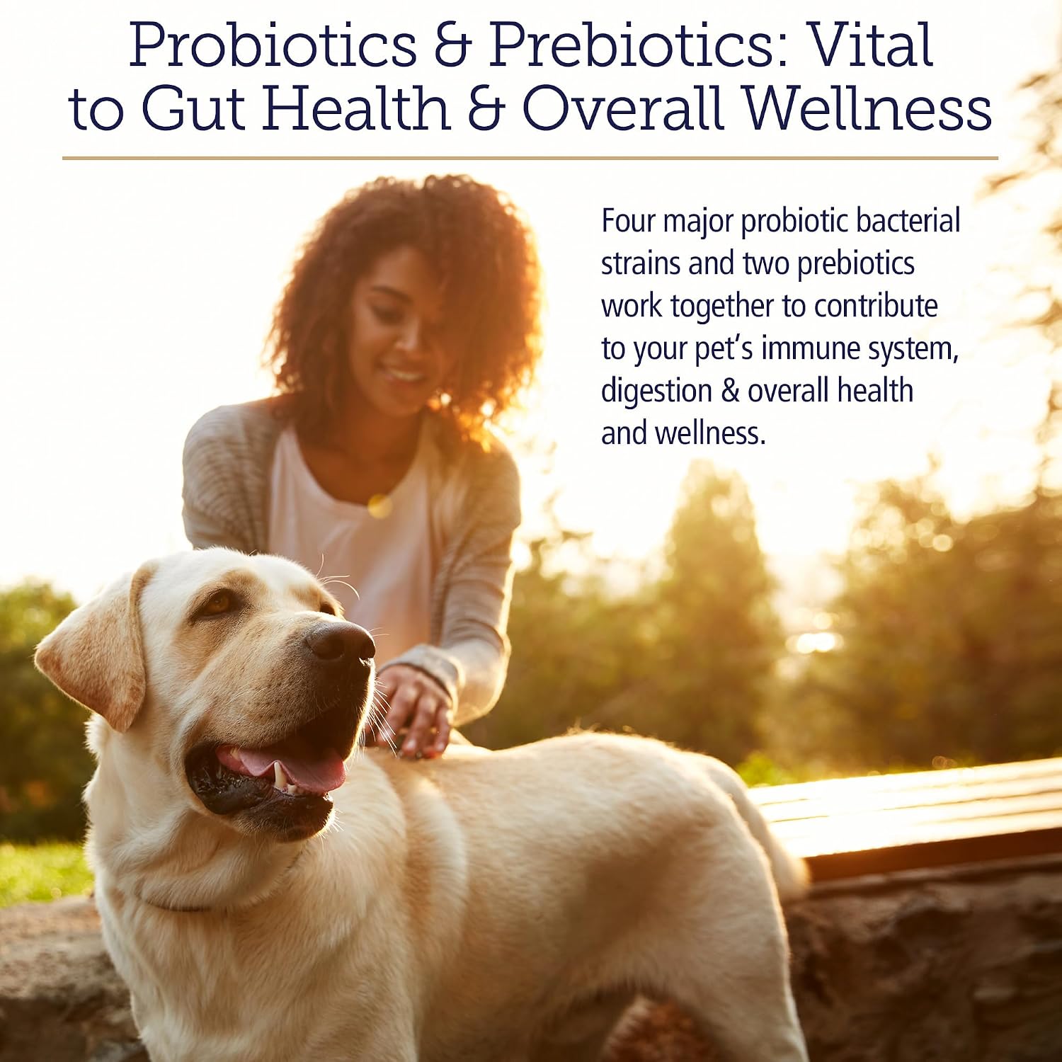 Rx Vitamins Rx Biotic pet digestive health supplement jar with scoop instruction