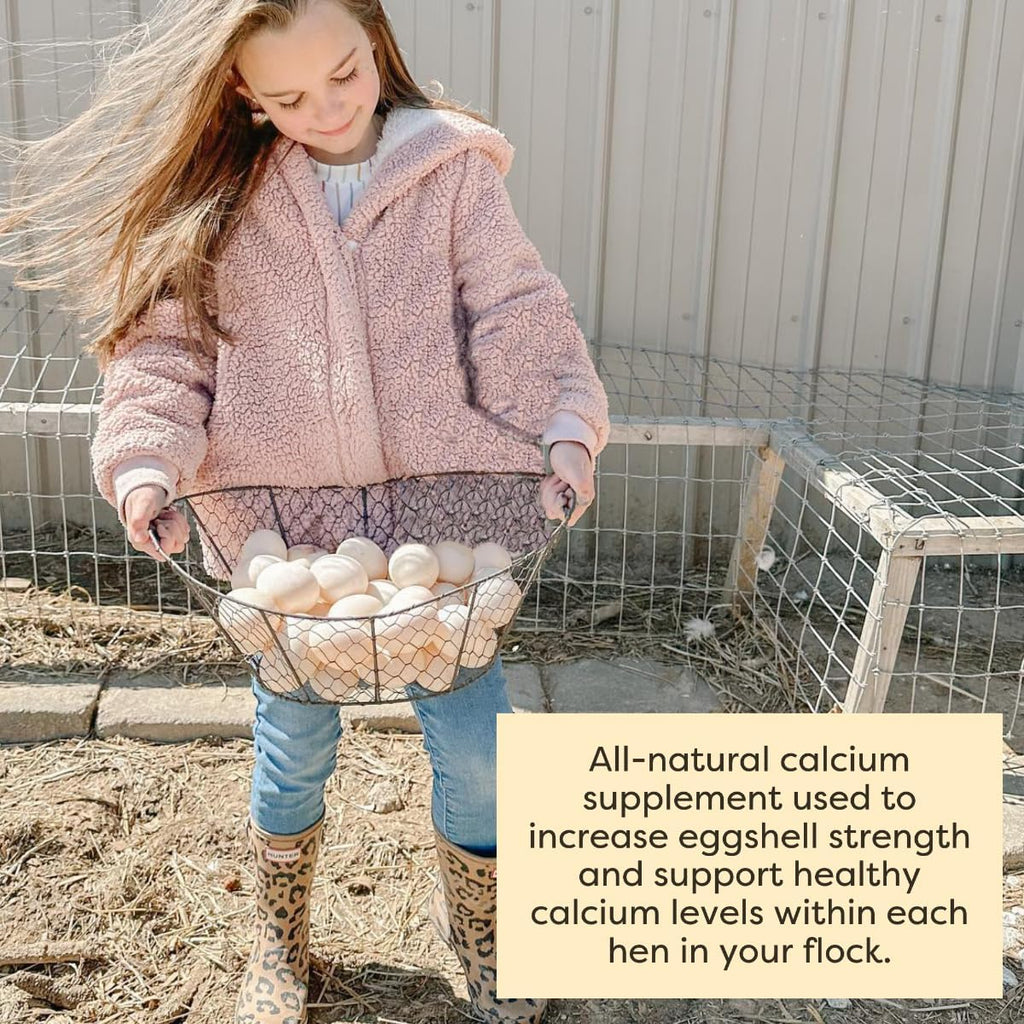 Detailed view of natural calcium flakes for poultry