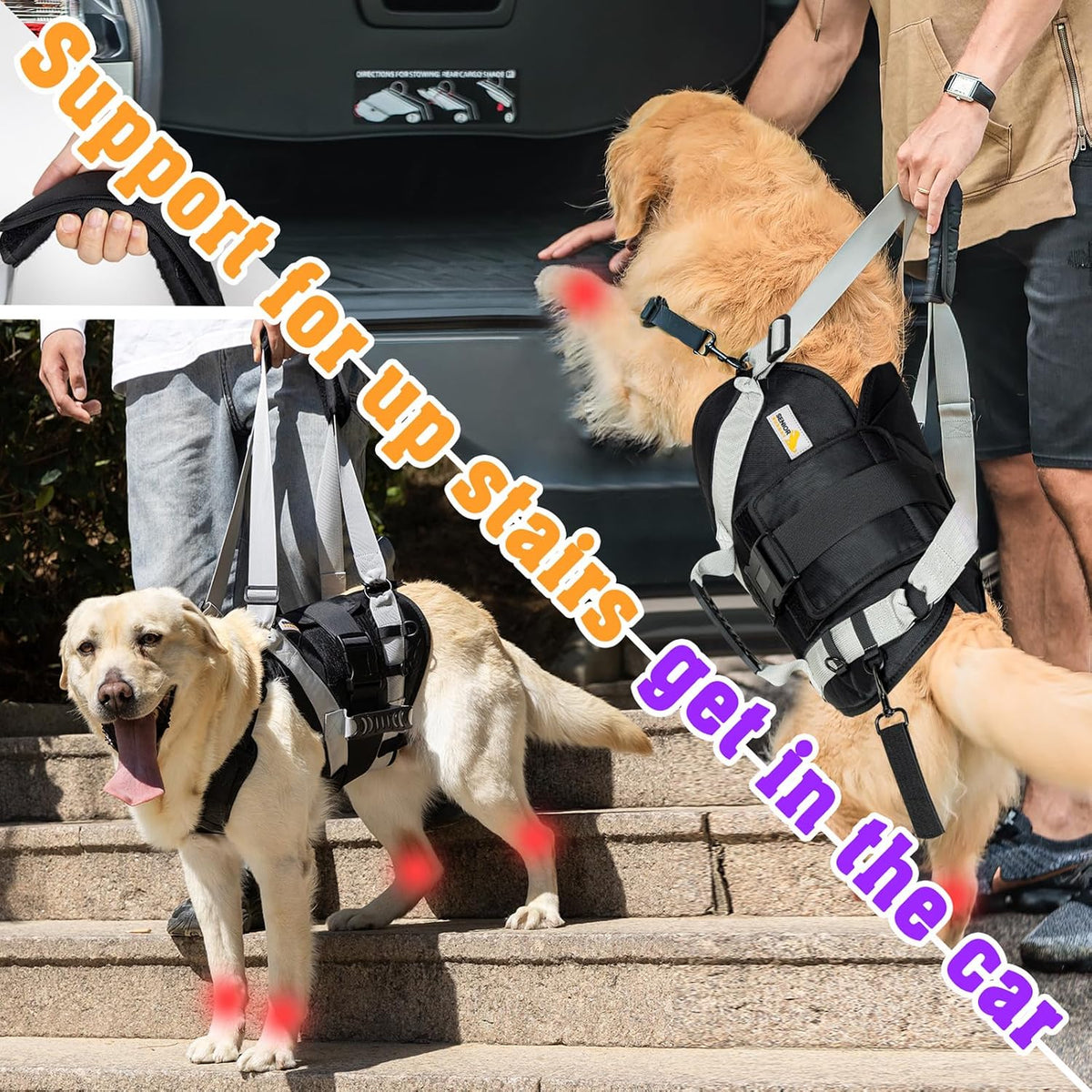 Senior Budday dog harness adjustable straps and buckle detail