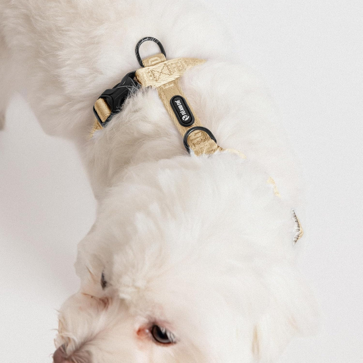 Fei and Eve dog harness H-shape design detail