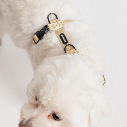 Fei and Eve dog harness H-shape design detail