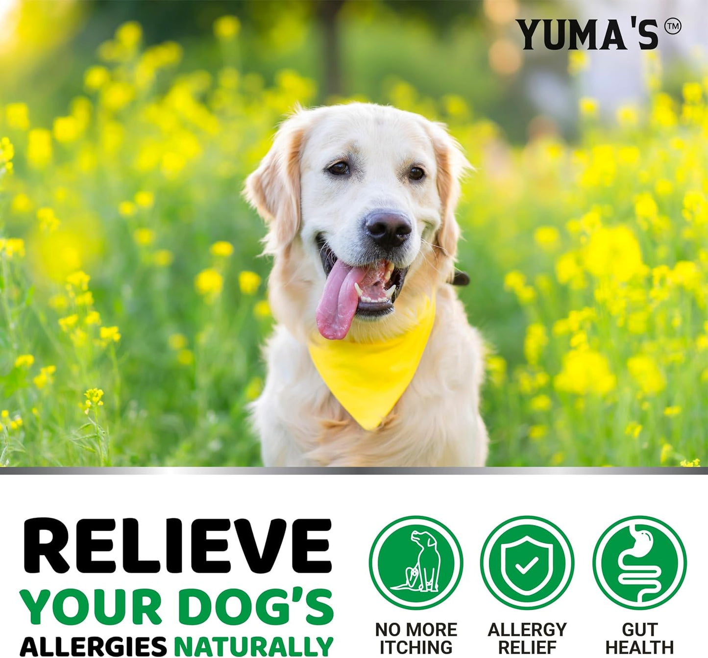 Yuma's pet allergy relief chews showing natural ingredients like colostrum and probiotics for gut health.