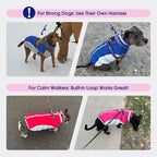Medium dog wearing red Fuamey winter snowsuit outdoors
