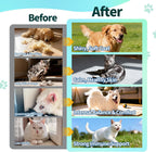 USA imported premium pet skin and coat liquid formula