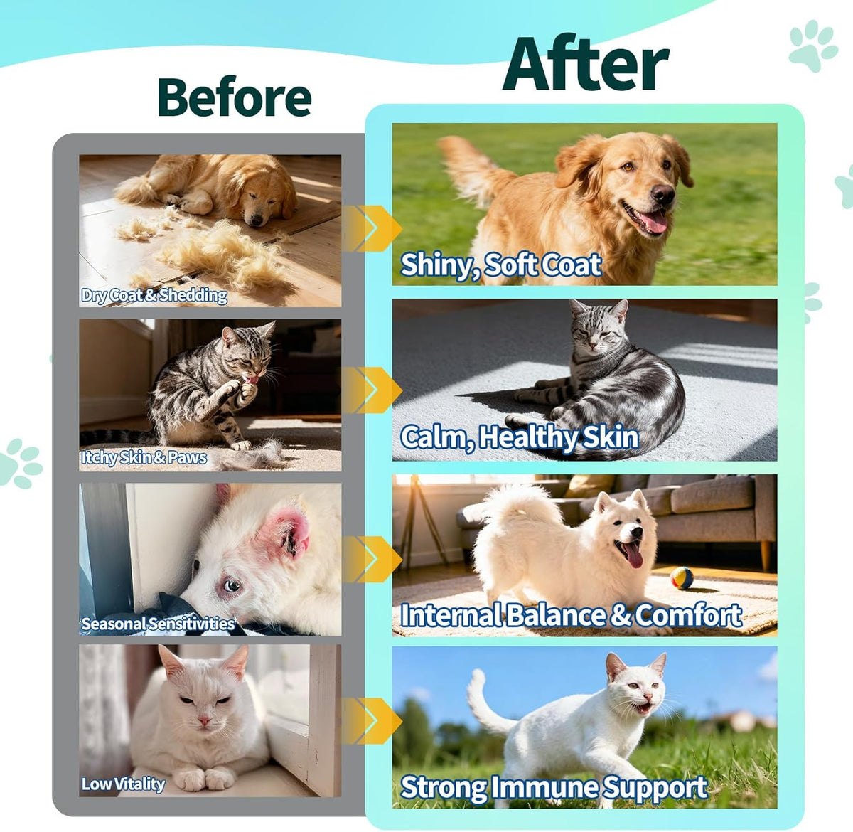 USA imported premium pet skin and coat liquid formula