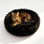 Cat resting in comfortable round pink fluffy pet bed