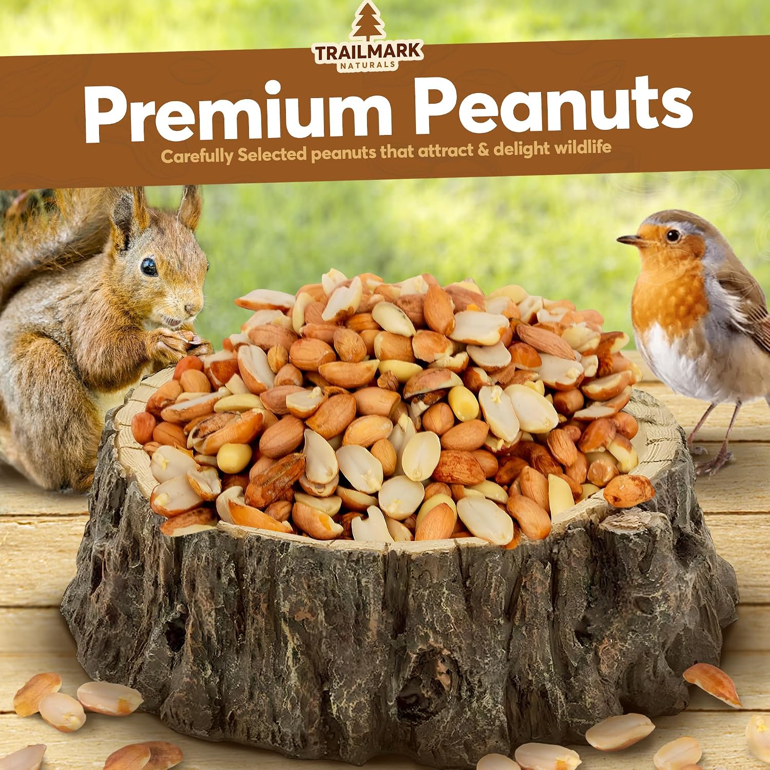 Close up of premium raw shelled peanuts for wildlife