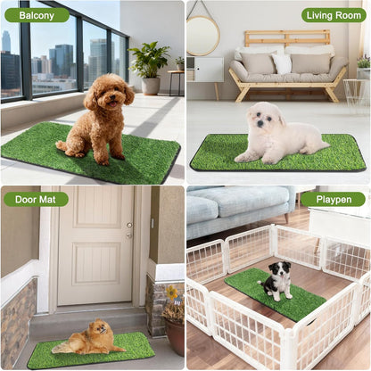 Cleaning process of reusable pet turf with water