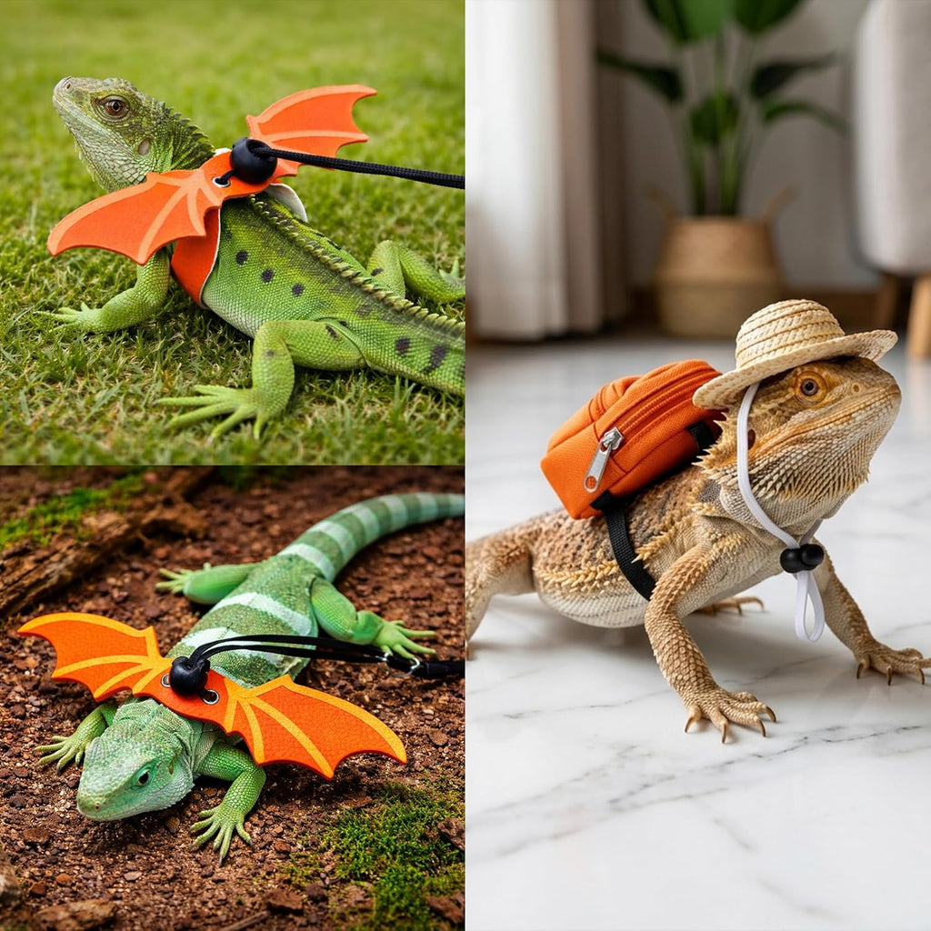 Lizard outdoor walking training leash attached to a secure chest harness.
