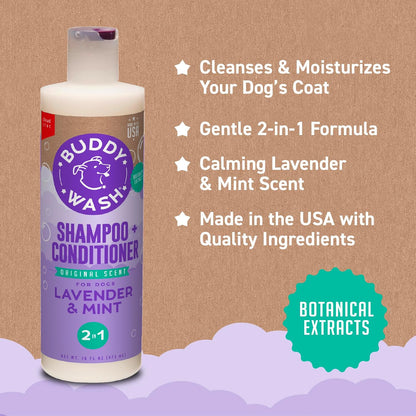 Natural botanical dog shampoo bottle held in hand
