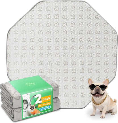 Waterproof testing demonstration of FXW puppy pad