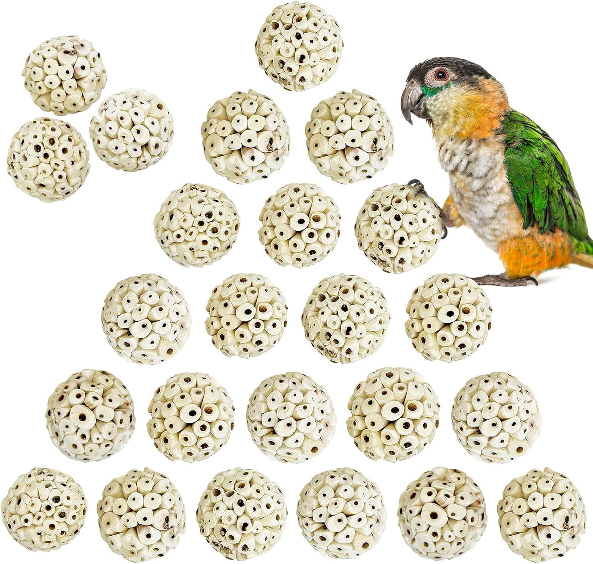 Hand holding natural sola ball toy for bird safety demonstration