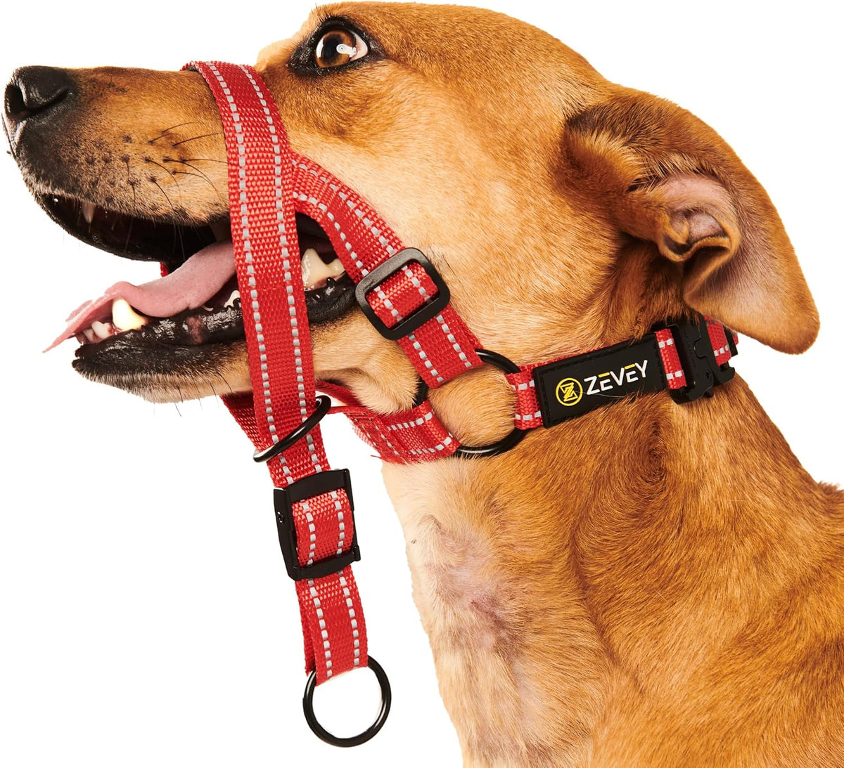 Pink reflective dog training halter on a walking trail