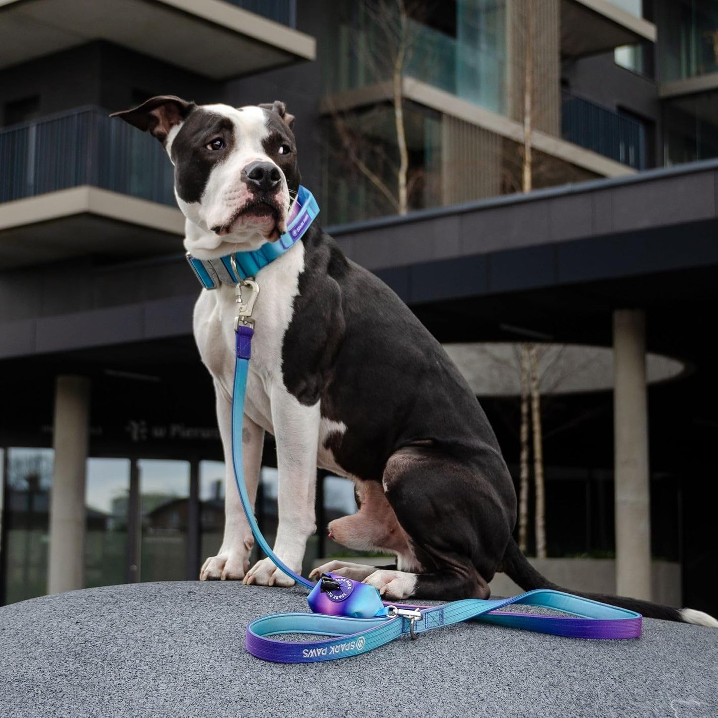 Ergonomic padded handle detail on the durable ninety retro style pet walking leash.