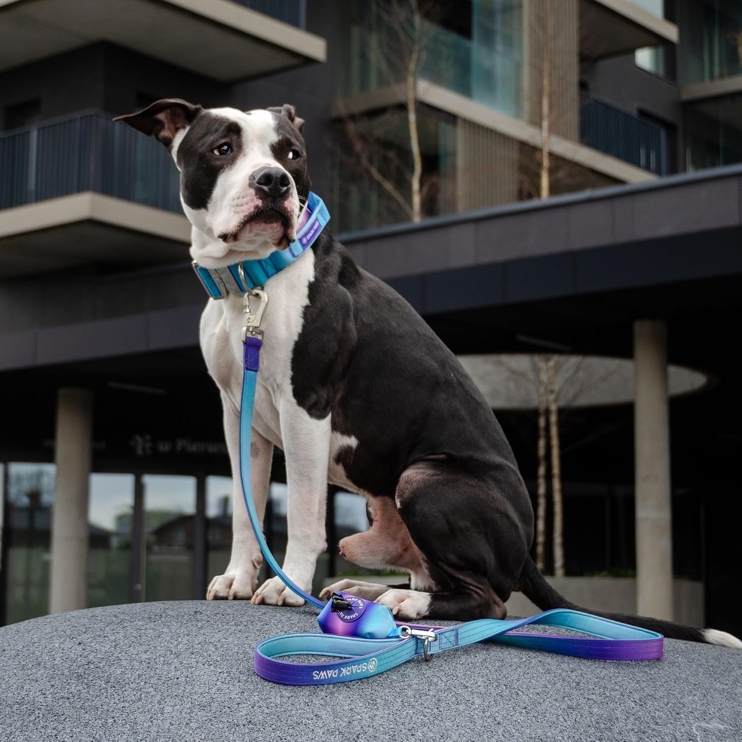 Ergonomic padded handle detail on the durable ninety retro style pet walking leash.