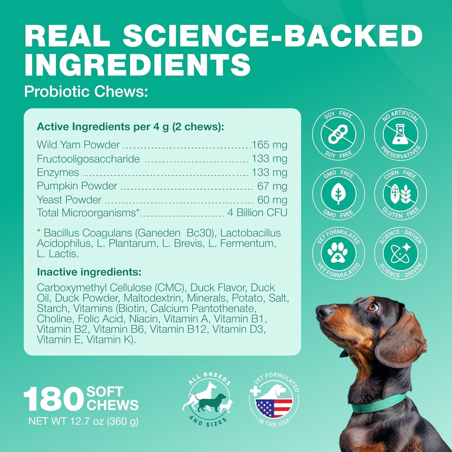 Premium dog gut health supplement container illustrating the three month supply.