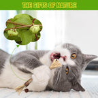 BAWAN Silvervine Sticks Cat Chew Toys for Indoor Cats Dental Care Teeth Cleaning, Natural Kitten & Cat Teething Toys for Health, Cat Chew Stick Suitable for All Breeds of Aggressive Chewers Cat - Image 4