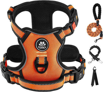 IVY&LANE No Pull Dog Harness for Medium Dogs, Dog Vest Harness with Leash, Safety Belt and Storage Strap, Fully Adjustable Harness, 360 degrees Reflective Strip, Soft Handle (Purple, M) - Image 11