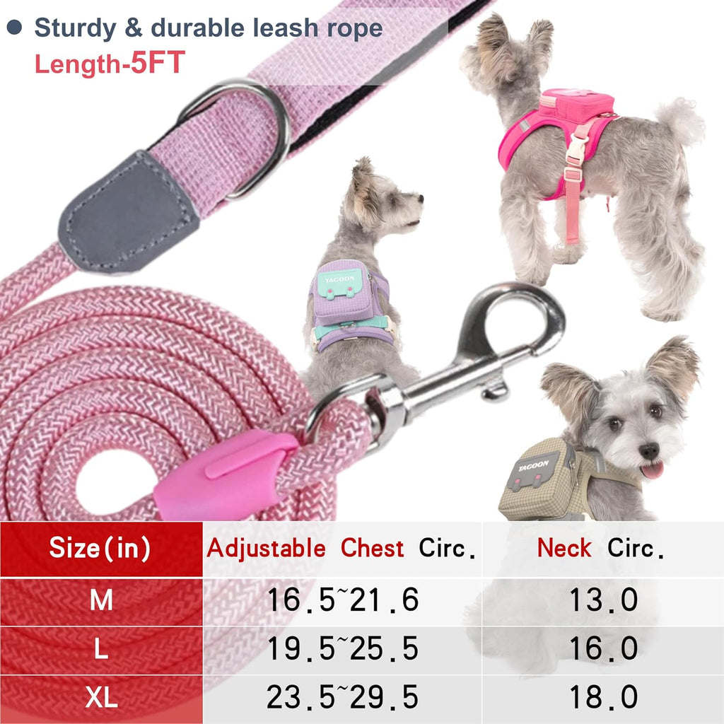 Dhgate reflective pet harness vest demonstrating the bright night-time visibility under low light conditions.
