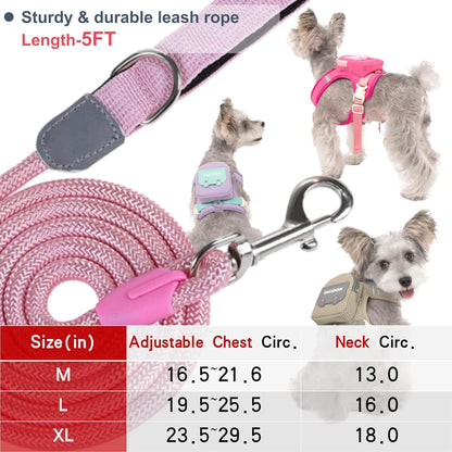 Dhgate reflective pet harness vest demonstrating the bright night-time visibility under low light conditions.