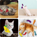 Seyezo catnip toys packaging and product display