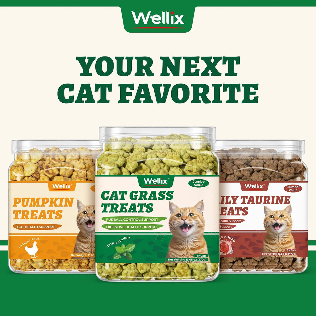 Wellix Cat Grass Treats with Catnip, Hairball & Digestive Support, 13.05 oz - Image 9