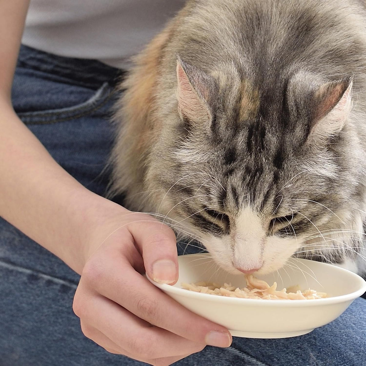 Inaba cat treat pouch nutrition label