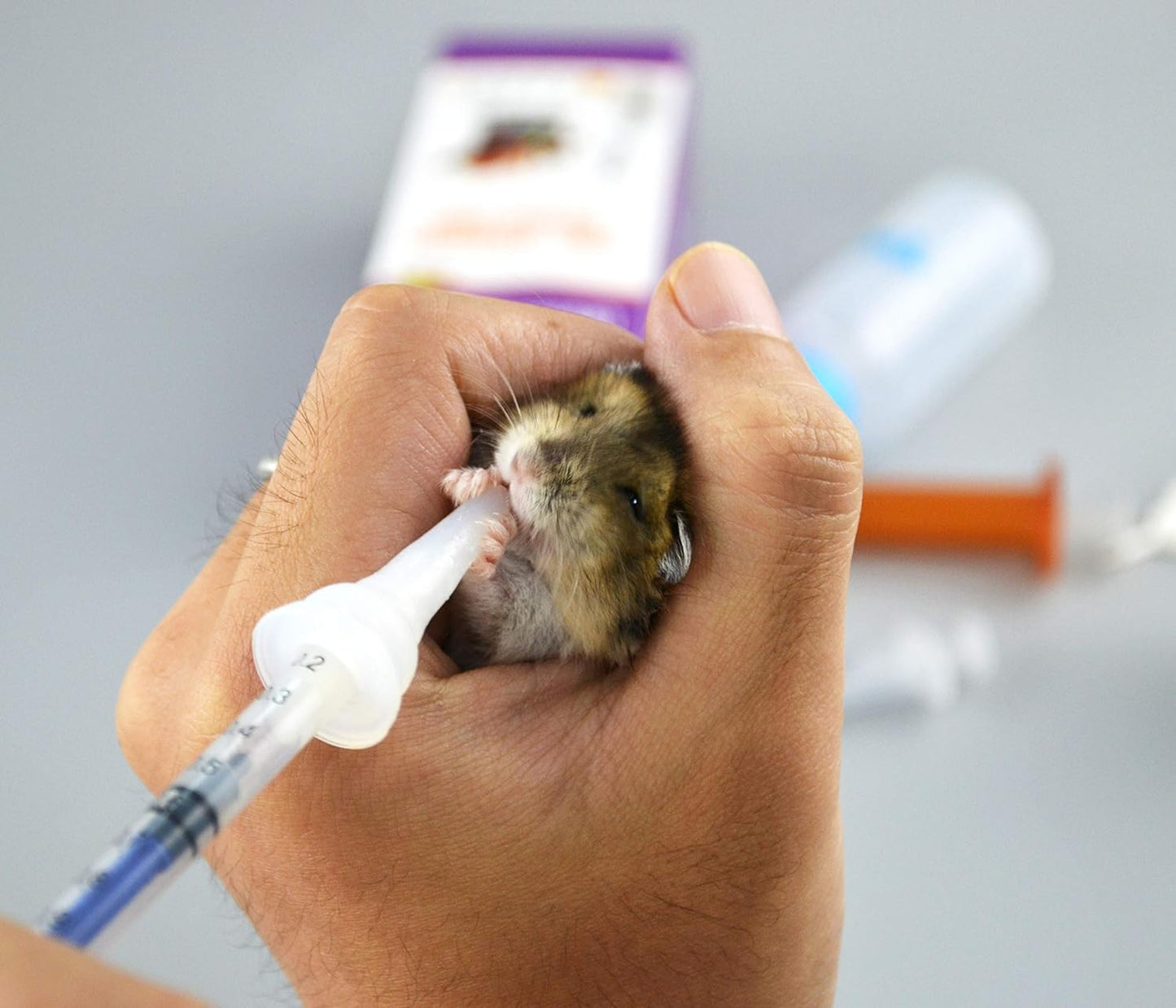 SHAOTONG newborn animal nursing tools highlighting the sixty milliliter pet milk bottle.