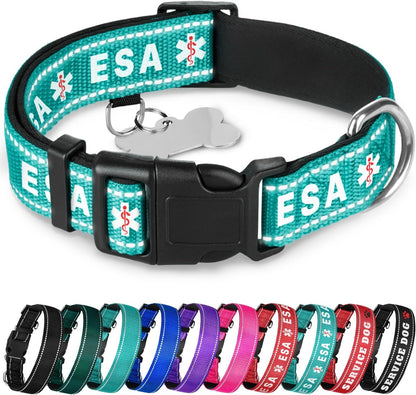 TECEUM Reflective Dog Collar - Aquamarine - M - Extra Soft Padding - Basic Nylon Pet Collar - Quick Release Buckle - Fits Small, Medium and Large Dogs, Puppies, Cats - ESA & Service Dog Options - Image 11