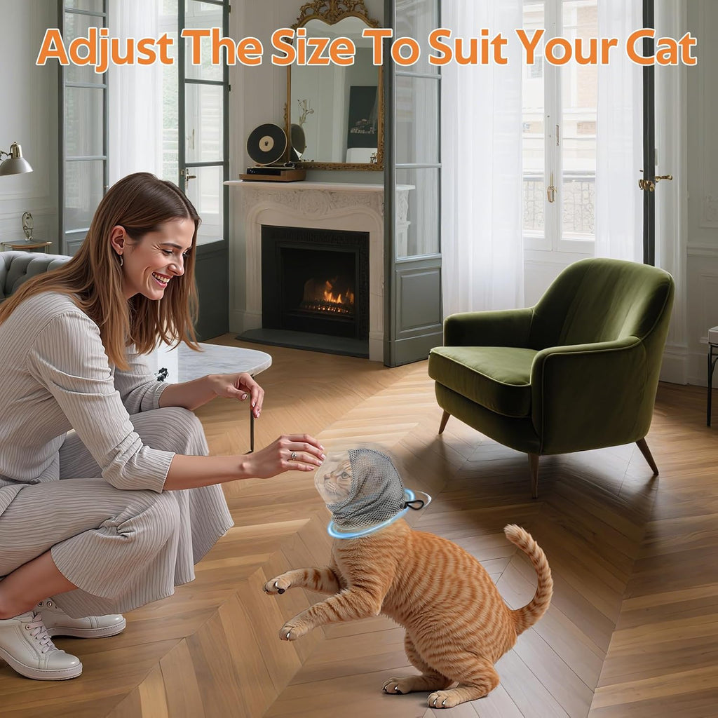Cat wearing transparent Parawo bubble helmet muzzle for nail trimming safety