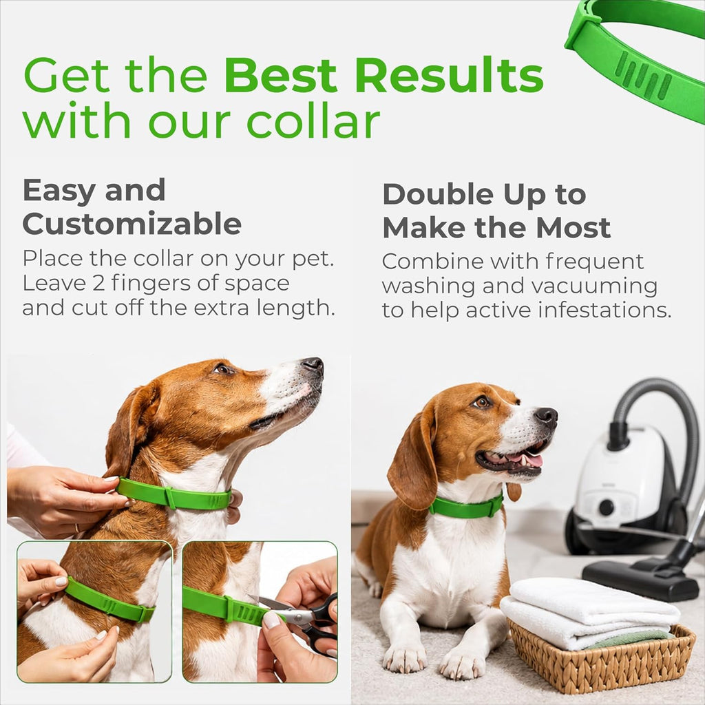 Dog wearing red FurLife waterproof flea collar
