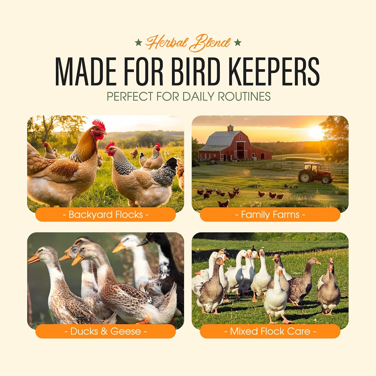 One pound bag of Aevezom natural herbal dewormer for backyard flock maintenance.