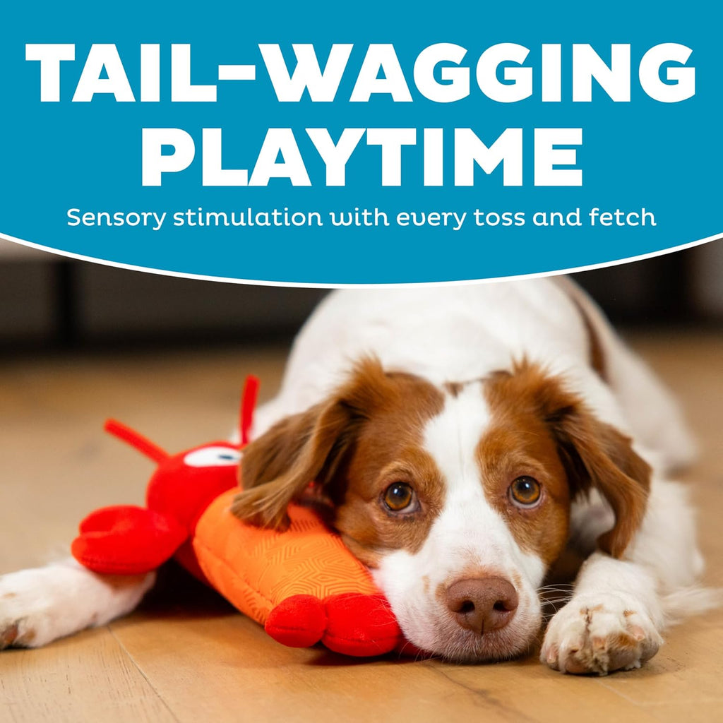 Outward Hound squeaky lobster toy for small and medium dogs