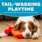 Outward Hound squeaky lobster toy for small and medium dogs