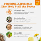 Back of Zesty Paws Scoot Away jar displaying ingredient list