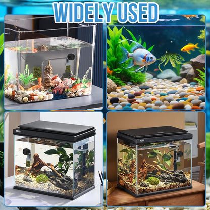 HINGTAI seaweed holder veggie clip for saltwater marine fish